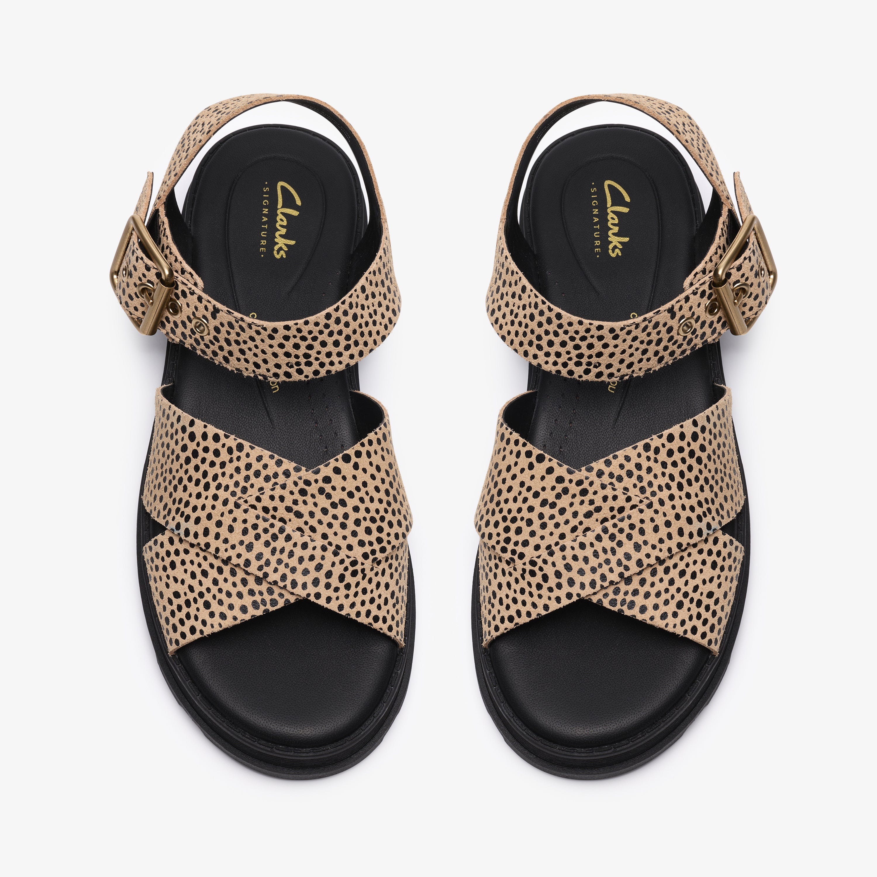 クラークス Clarks Orinoco3 Cross / オリノコ3クロス (アニマルプリント)の6枚目